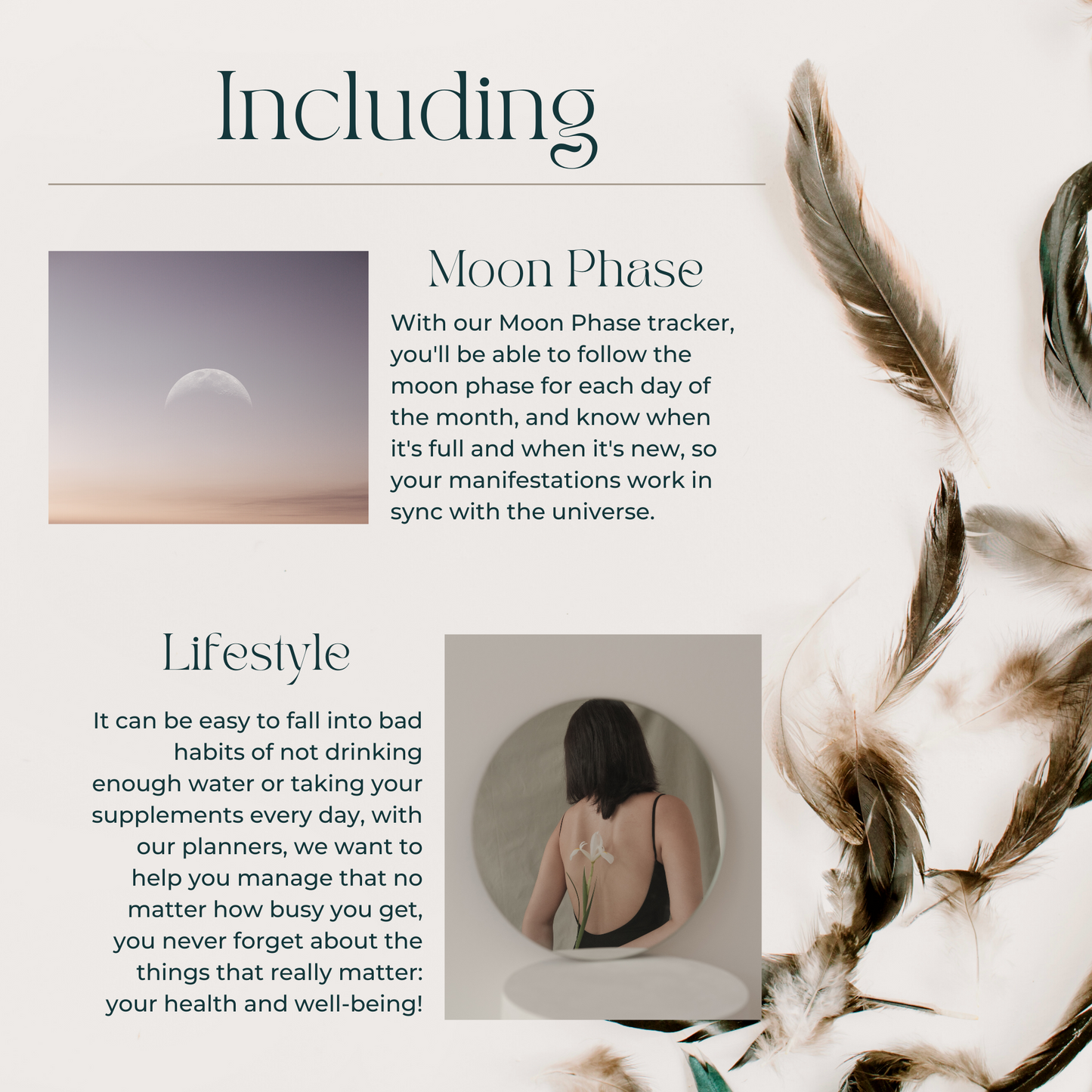 Daily Weekly Monthly Planner Set - Smokey Quartz