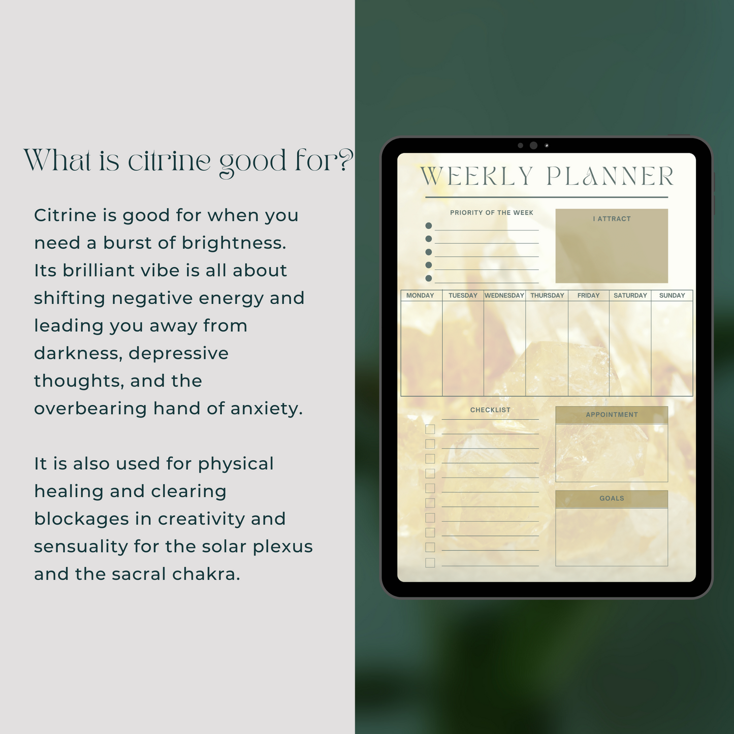Daily Weekly Monthly Planner Set - Citrine
