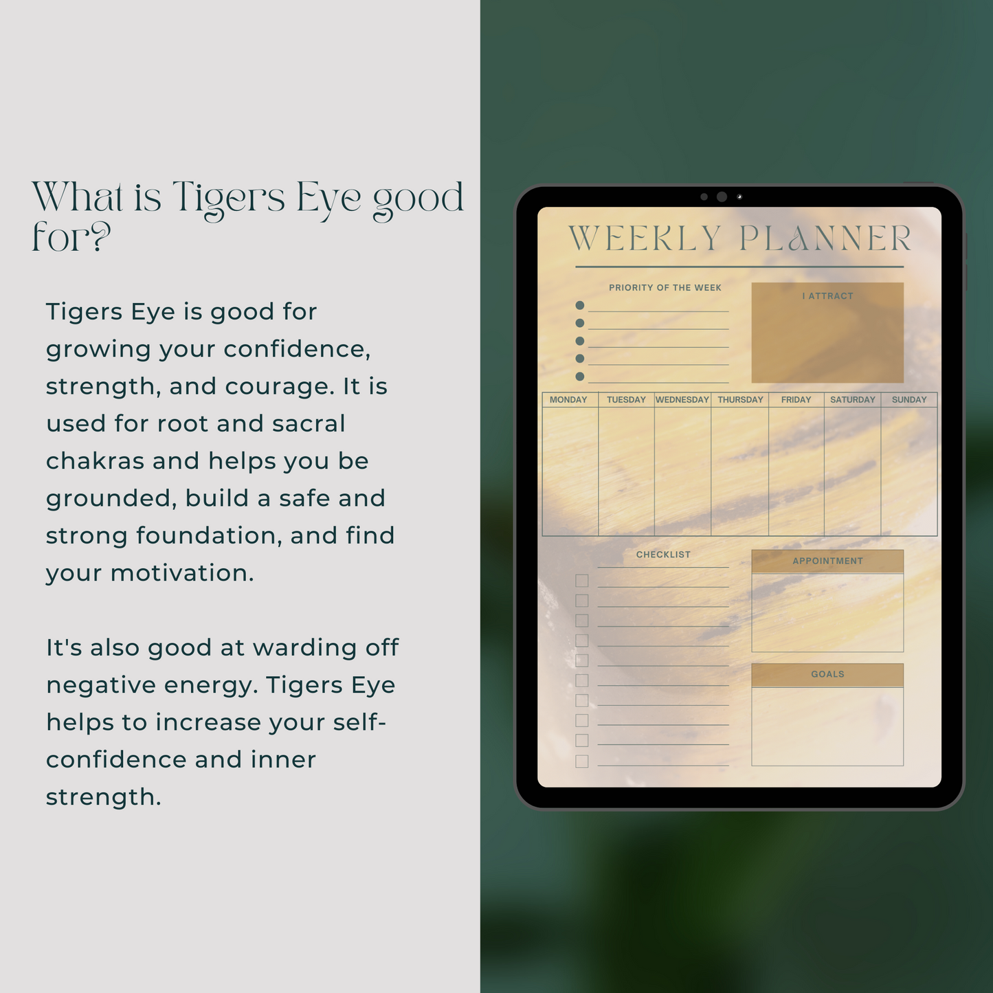Daily Weekly Monthly Planner Set - Tigers Eye