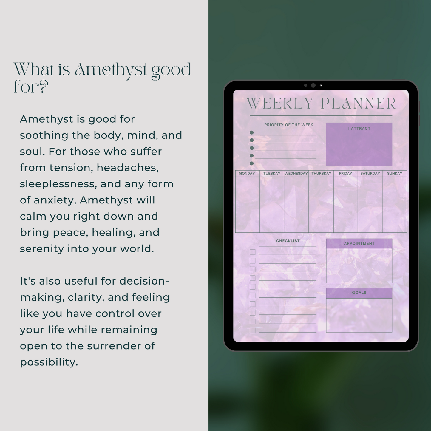 Daily Weekly Monthly Planner Set - Amethyst